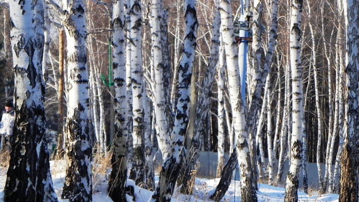 DSCN0129 (700x393, 283Kb)