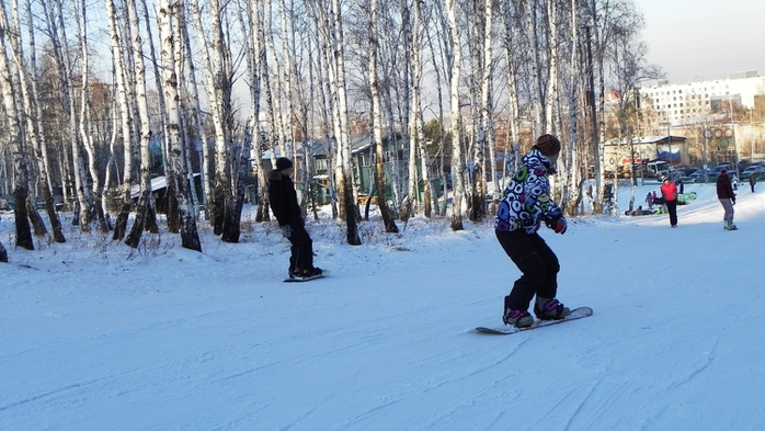 DSCN0311 (700x393, 247Kb)
