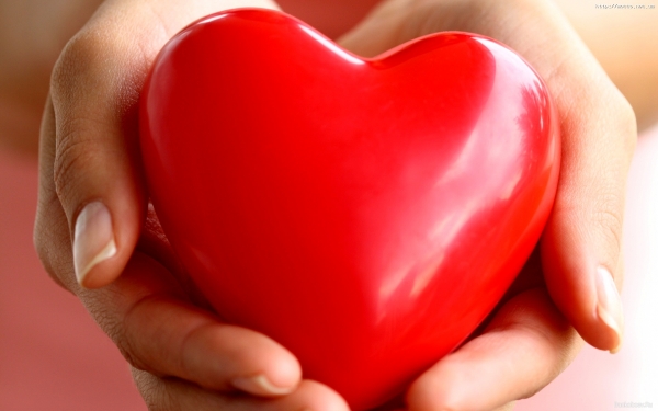1353856921_wallpaper243 (600x375, 124Kb)