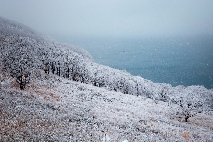  -1 (700x466, 307Kb)