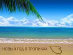  !medium_5833166_1 (450x338, 22Kb)