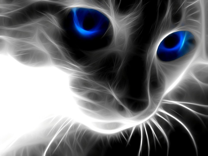 271665-cdbaa-31698573-m750x740 (700x525, 63Kb)