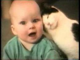 images (19) (259x194, 6Kb)