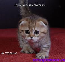 images (4) (229x220, 6Kb)