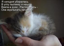 images (11) (264x191, 6Kb)