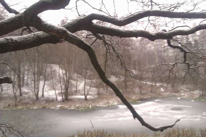 3024431_snow_2 (700x466, 42Kb)