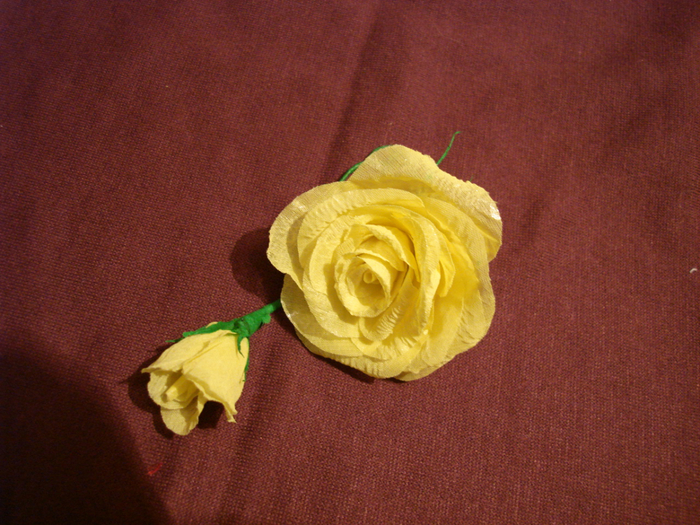 DSC00542 (700x525, 524Kb)