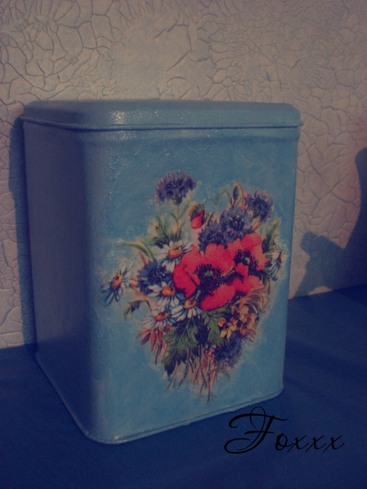 4757949_CIMG5398 (525x700, 267Kb)