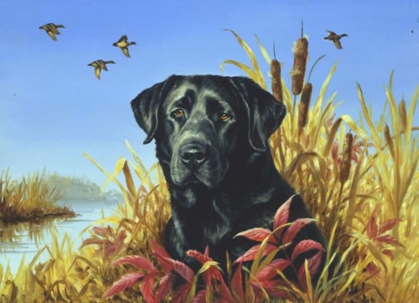 Black Lab Red Leaves_jpg (600x434, 64Kb)