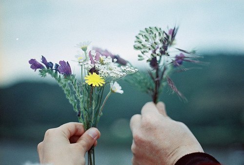 a8wGSEMEvss (500x338, 31Kb)
