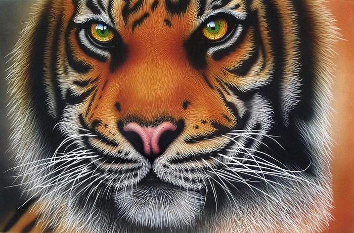 1-tiger-i-jeroen-van-neijhof (700x461, 101Kb)