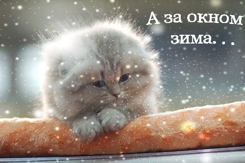 zima_04 (500x333, 138Kb)