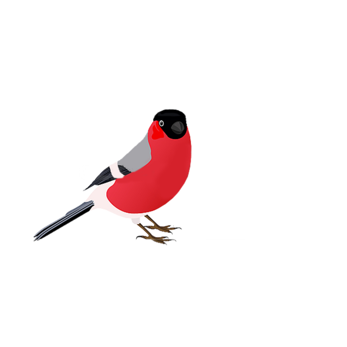 15q (700x700, 64Kb)