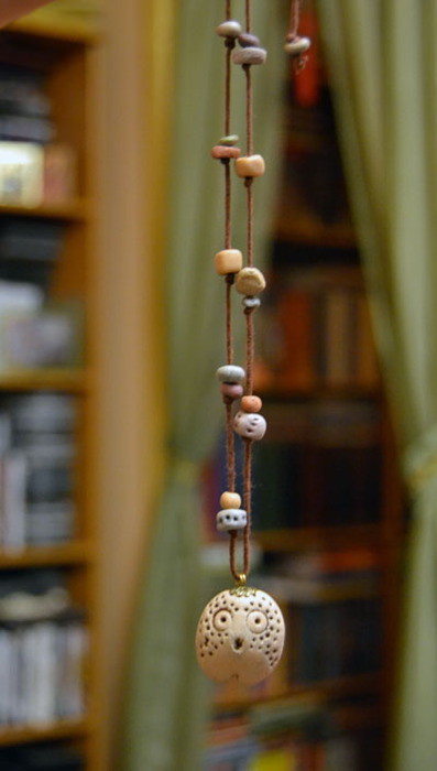 DSC_3523 (397x700, 58Kb)