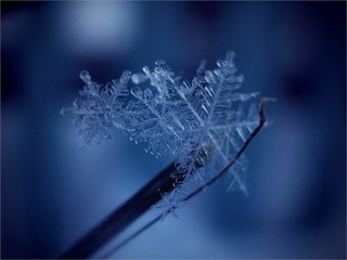 1354612696_GprMGlvSso8 (320x240, 11Kb)