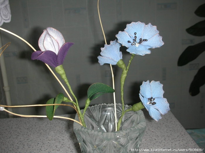 DSCN9892 (700x525, 260Kb)