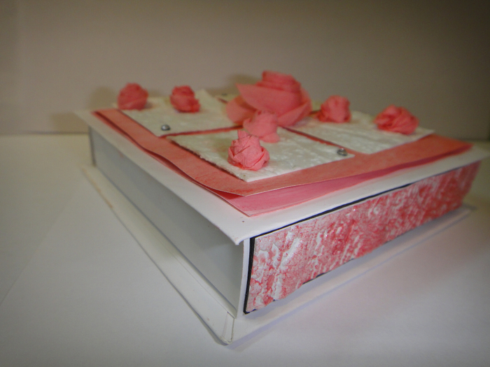 DSC00693 (700x525, 362Kb)