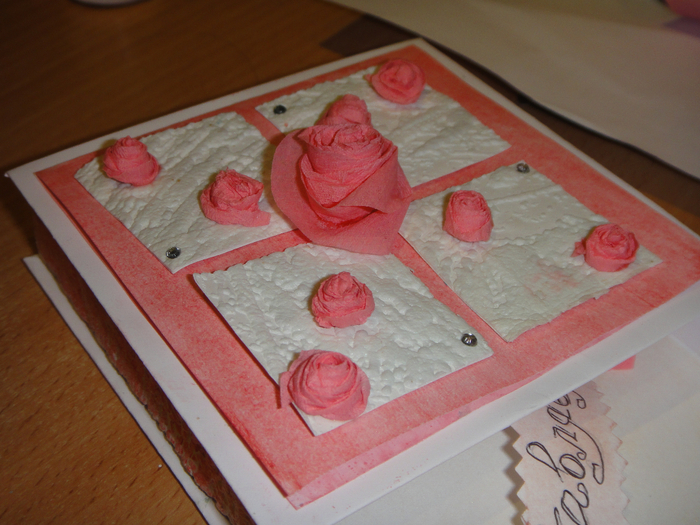 DSC00718 (700x525, 441Kb)