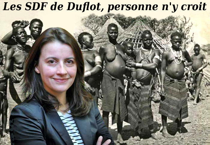 SDF Cecile Duflot/5046362_SDF_Duflot (700x486, 213Kb)