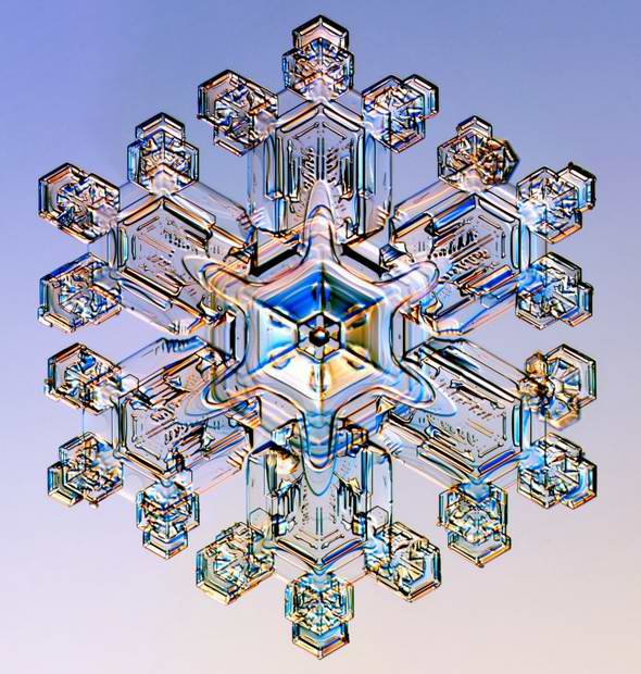 3623822_sneginka05 (590x620, 77Kb)