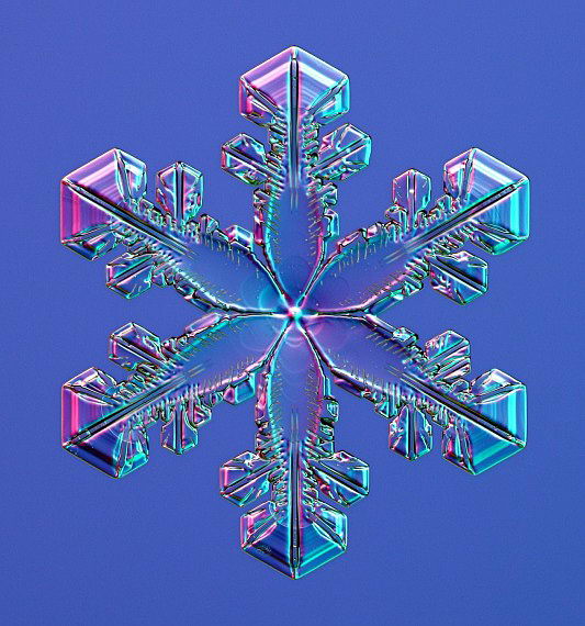 3623822_sneginka15 (533x570, 76Kb)