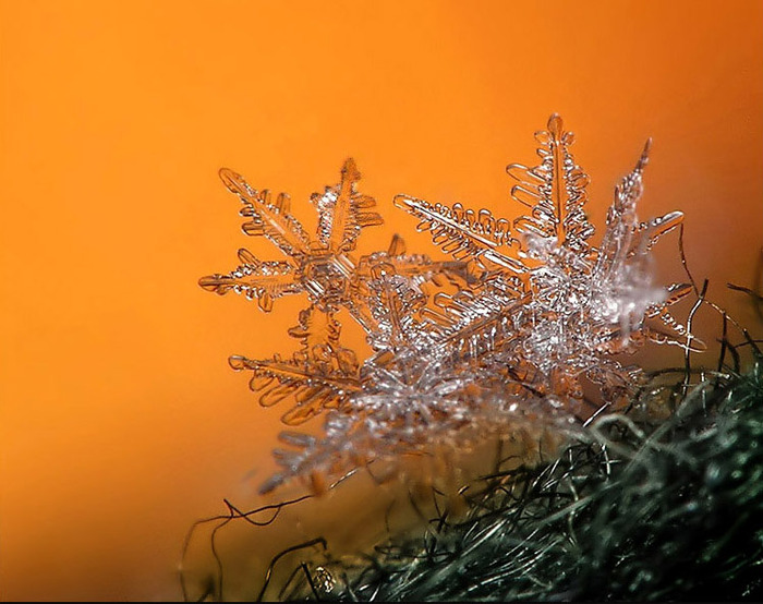 3623822_SnowFlake_12 (700x554, 124Kb)