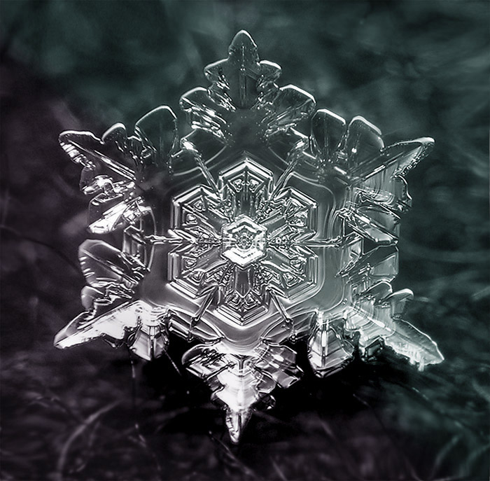 3623822_SnowFlake_4 (700x687, 170Kb)