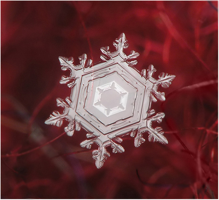 3623822_SnowFlake_10 (700x638, 124Kb)