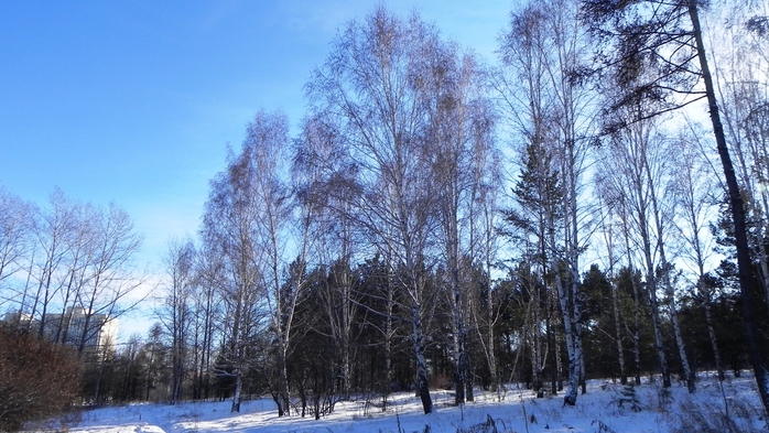 DSCN0022 (700x393, 265Kb)