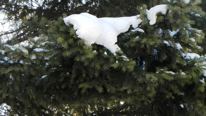 DSCN0033 (700x393, 240Kb)
