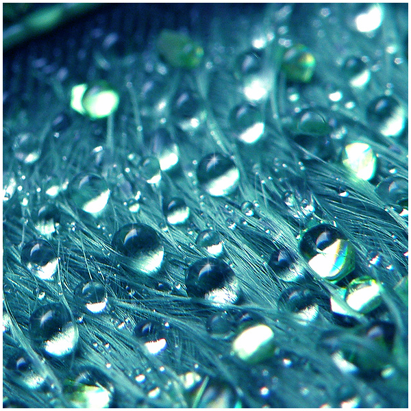 1901311_Shining_Droplets_by_JimmyJaszczurka (600x600, 369Kb)