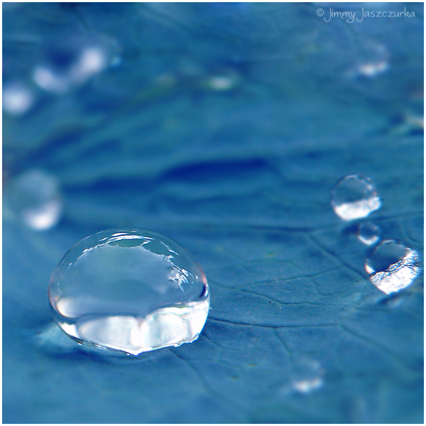 1901311_soft_drop_by_jimmyjaszczurkad263z6k (600x600, 222Kb)