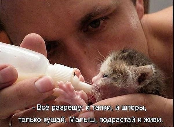 3416556_getImage_28 (601x437, 49Kb)