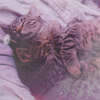 cute8 (100x100, 20Kb)