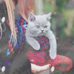 cuteav1 (150x150, 43Kb)
