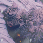 cuteav10 (150x150, 50Kb)