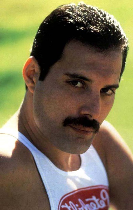 kinopoisk.ru-Freddie-Mercury-1167430 (445x700, 70Kb)