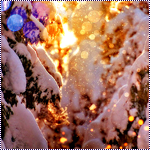 1354882687_11 (150x150, 49Kb)