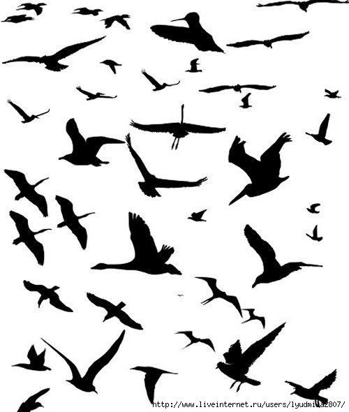 flying-birds (500x590, 90Kb)