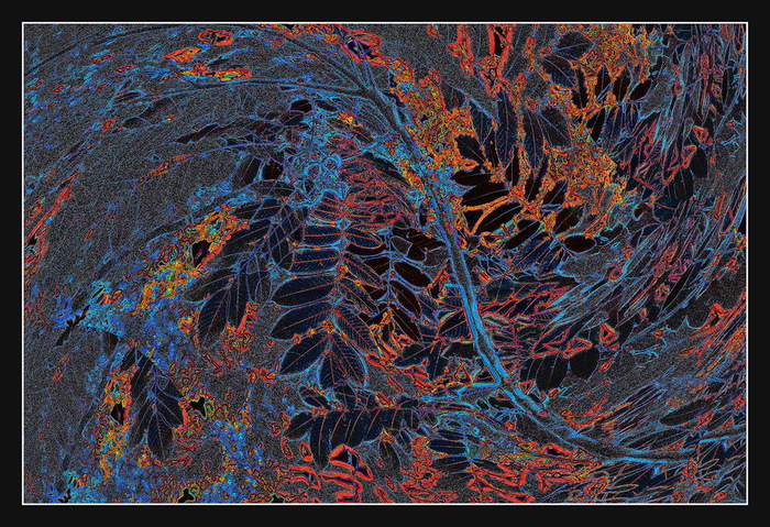 17sent_XXX (700x479, 266Kb)