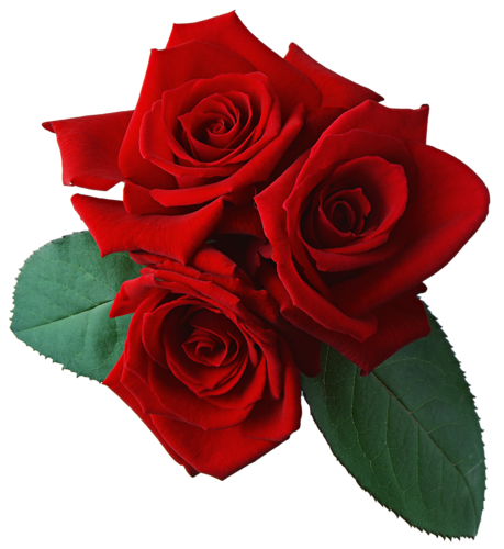 0_6d63a_90af8749_L.jpg (459x500, 250Kb)