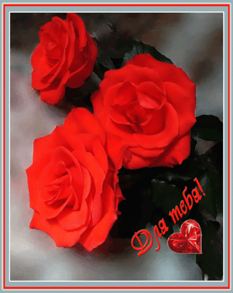 --- --- ----[1] (476x600, 669Kb)