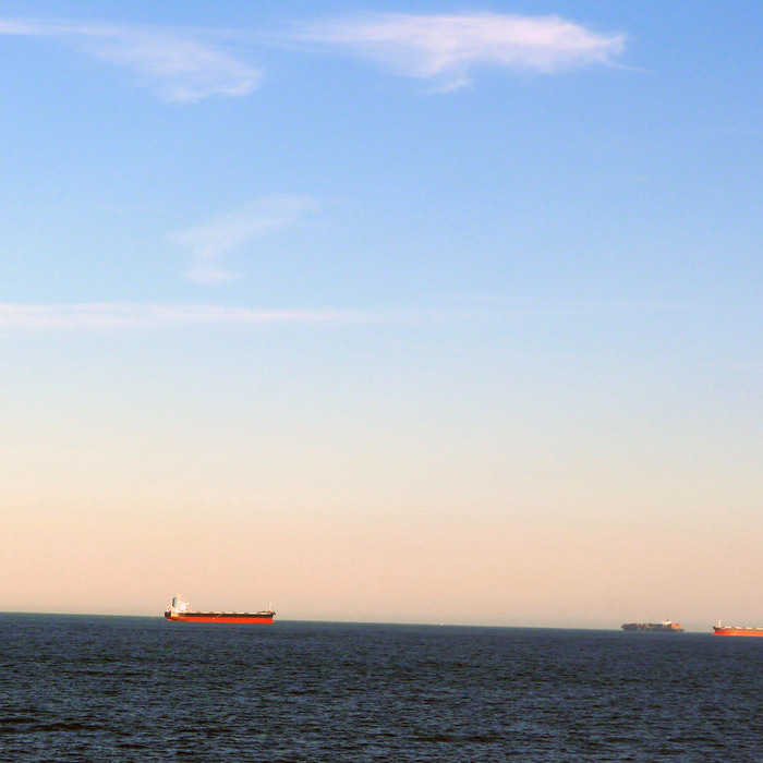 P1010801 (700x700, 110Kb)