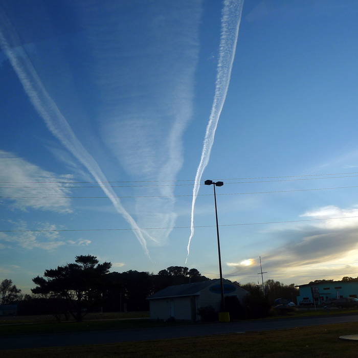 P1010830 (700x700, 113Kb)