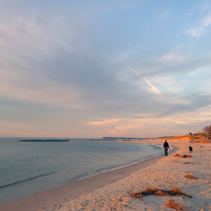 P1010856 (700x700, 130Kb)