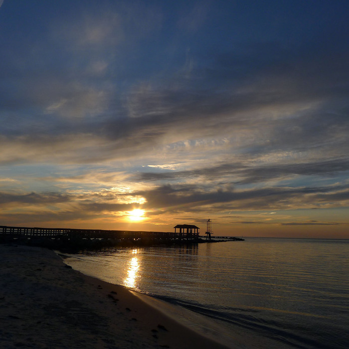 P1010843 (700x700, 106Kb)