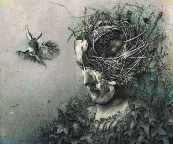 3623822_nest (700x584, 175Kb)