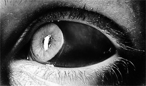 v33PYEgNaJg (500x294, 36Kb)