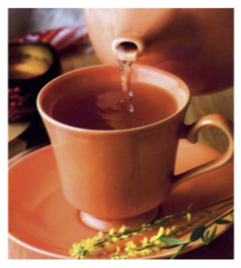 1259869_chai (480x533, 21Kb)