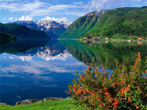fjord_hardanger (496x372, 70Kb)